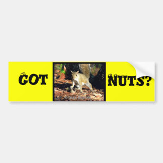 Got Nuts? Bumper Sticker