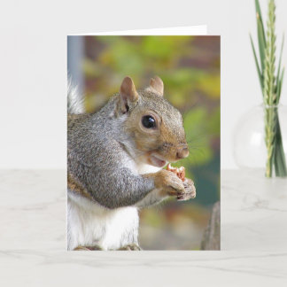 Got nuts? card