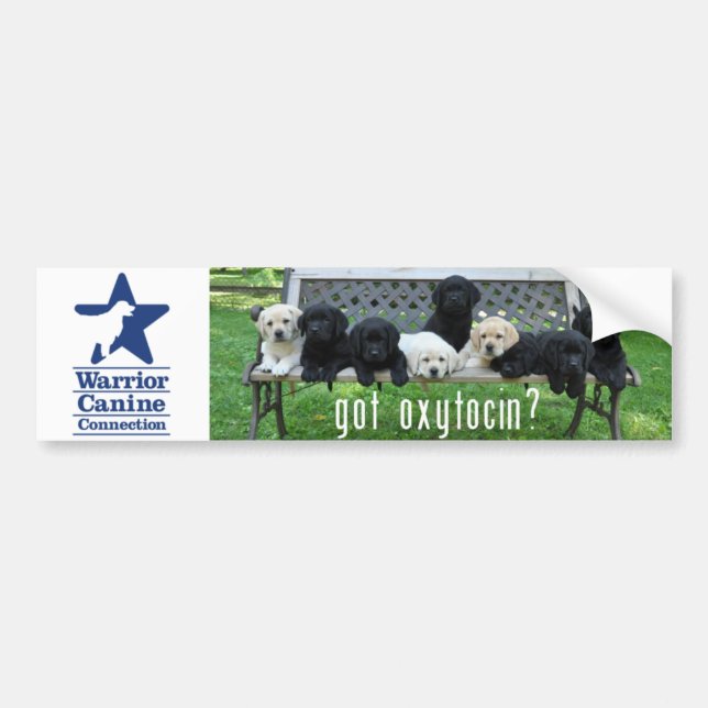 Got Oxytocin?  Bumper Sticker (Front)