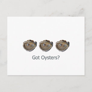 got oysters? postcard