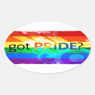 Got Pride LGBT Flag Oval Sticker