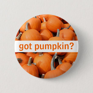 got pumpkin? Button