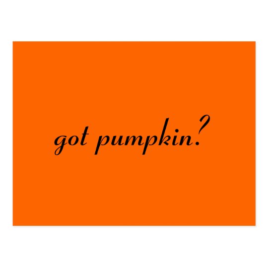 got pumpkin? postcard