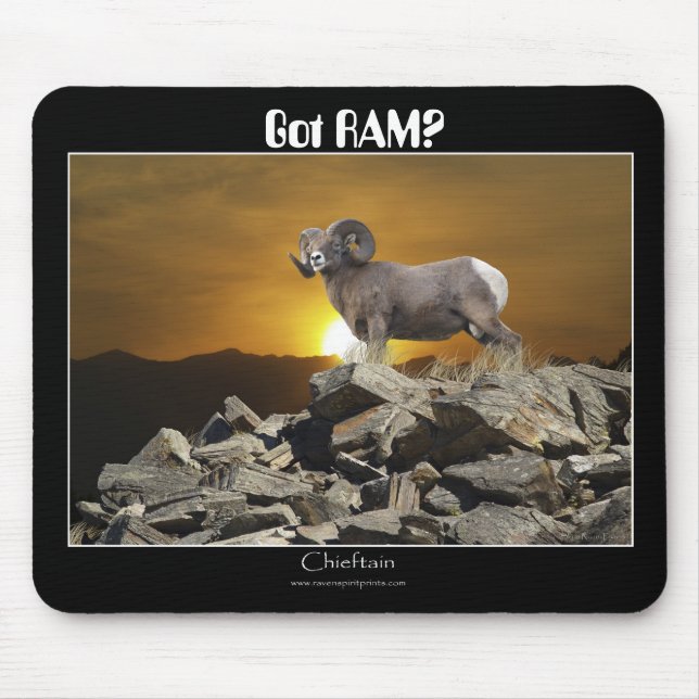 Got RAM? Mousepad (Front)