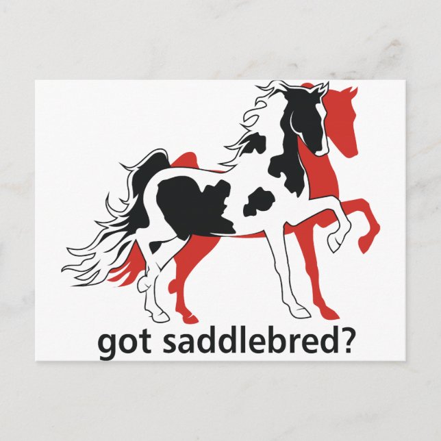Got Saddlebred? Postcard (Front)