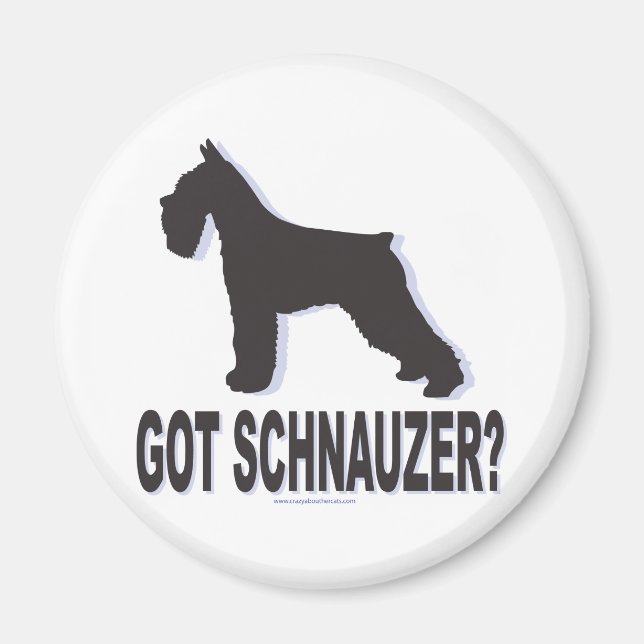 Got Schnauzer? Magnet (Front)