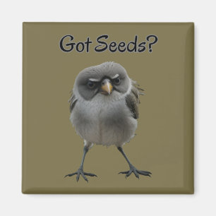 Got Seeds Magnet
