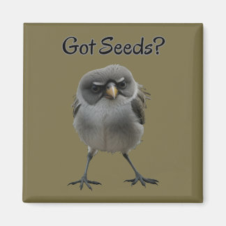 Got Seeds Magnet