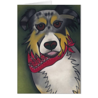 Got Sheep? by Robyn Feeley