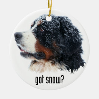 got snow? Bernese Mountain Dog Ceramic Tree Decoration