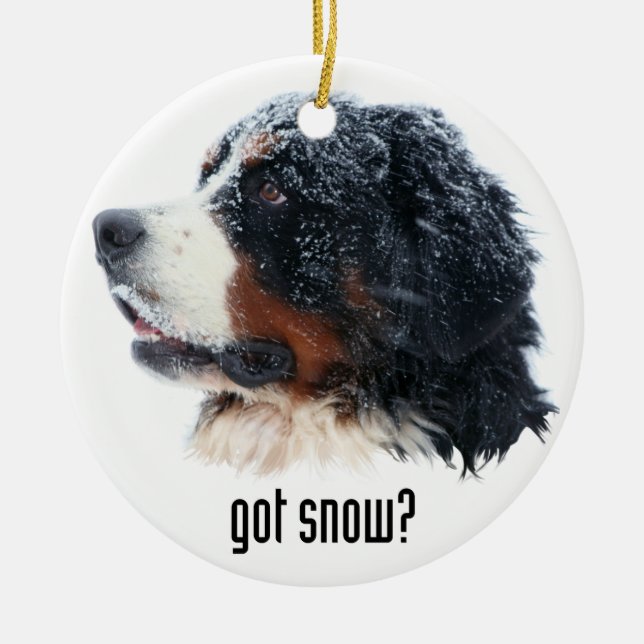 got snow? Bernese Mountain Dog Ceramic Tree Decoration (Front)