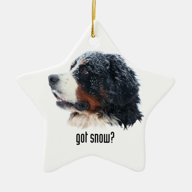 got snow? Bernese Mountain Dog Ceramic Tree Decoration (Front)