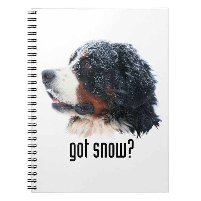 got snow? Bernese Mountain Dog Notebook (Front)