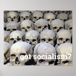 got socialism? poster