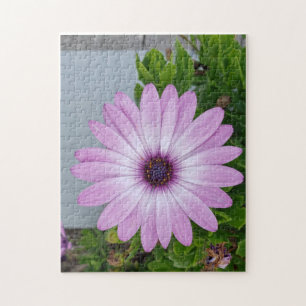Got some time on your hands flower puzzle