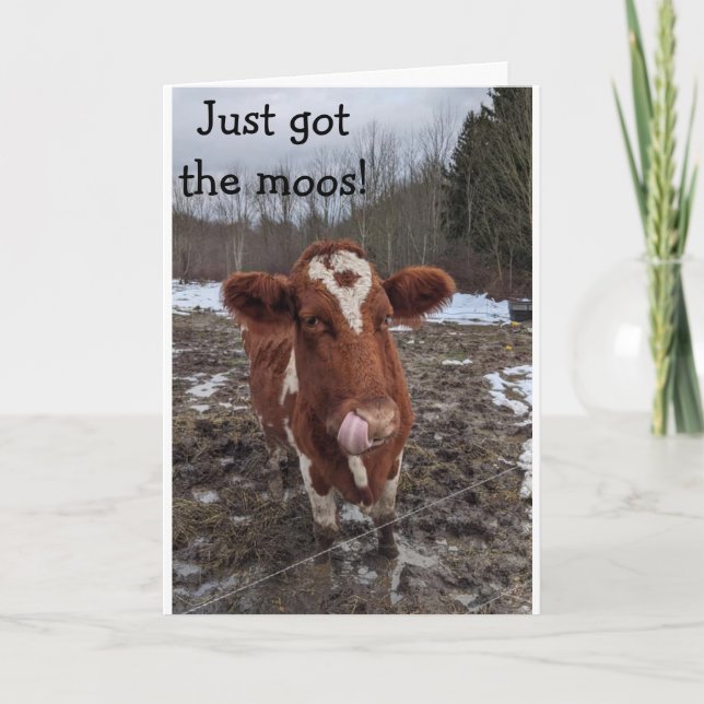 GOT THE MOOS (NEWS) HAPPY "BIRTHDAY" TO YOU CARD (Front)