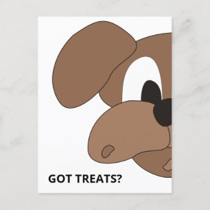 Got Treats? Curious dog Postcard
