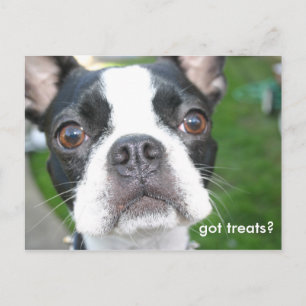 Got treats postcard