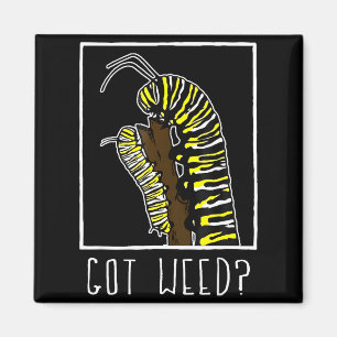 Got Weed Funny Monarch  Magnet
