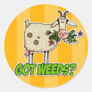 got weeds goat classic round sticker