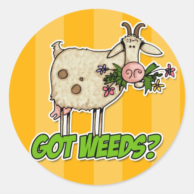 got weeds goat classic round sticker (Front)