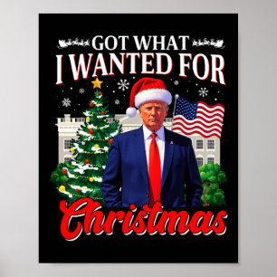 Got What I Wanted For Christmas Donald Trump 47th Poster