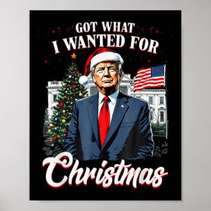 Got What I Wanted For Christmas Trump 2024 Poster