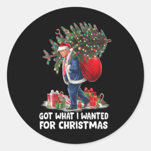 Got What I Wanted For Christmas - Trump 2024 Won P Classic Round Sticker