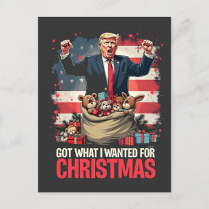 Got What I wanted For Christmas Trump Santa  Postcard
