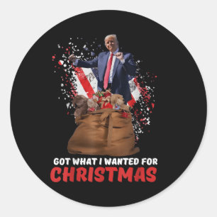 Got What I Wanted For Christmas - Trump Won 2024 Classic Round Sticker