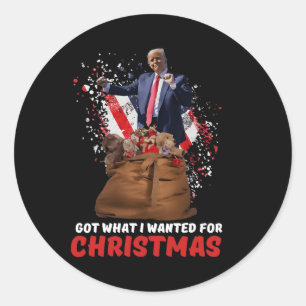 Got What I Wanted For Christmas - Trump Won 2024 P Classic Round Sticker
