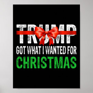 Got What I Wanted For Christmas - Trump Won 2024 P Poster