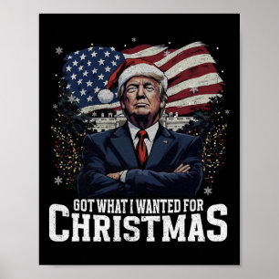 Got What I Wanted For Christmas Trump Won 2024 Pre Poster