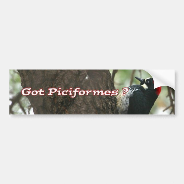 Got Woodpeckers? Bumper Sticker (Front)