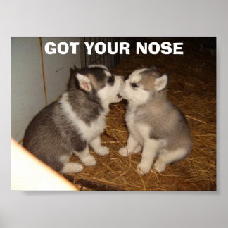 GOT YOUR NOSE POSTER