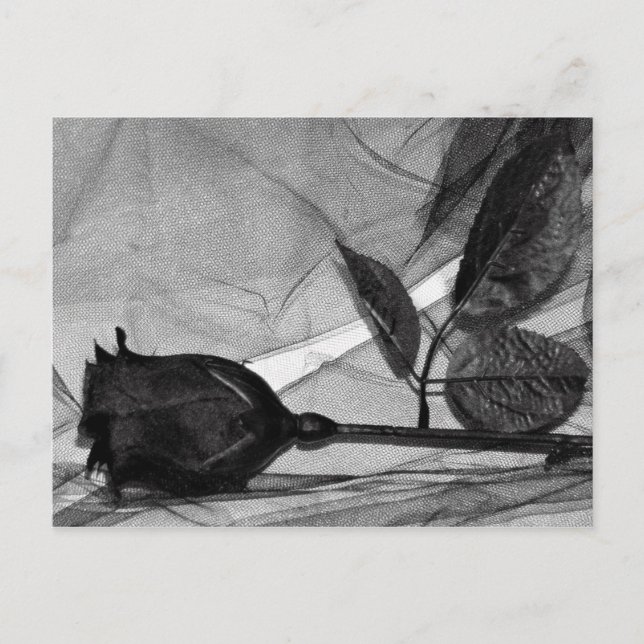 Goth Valentine Holiday Postcard (Front)