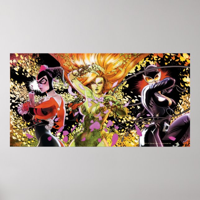 Gotham City Sirens Cv5-6-7 Poster (Front)