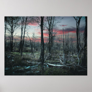 Gothic Art Gloomy Swampland Forest Poster