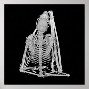 Gothic Bat Skeleton Poster
