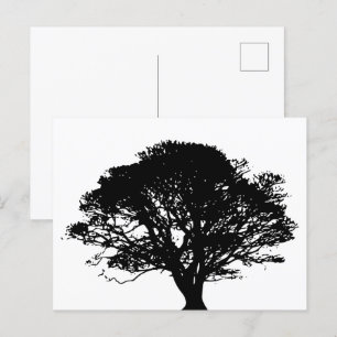 Gothic Black Oak Tree Silhouette Fine Art Drawing Postcard