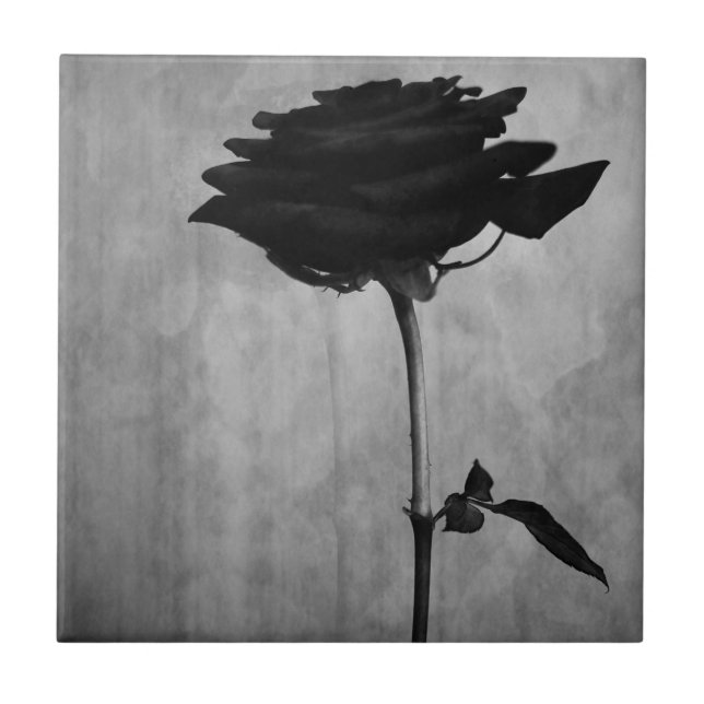 Gothic Black Rose Tile (Front)