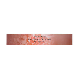 Gothic black violin with red roses invitation belly band