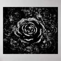 Gothic cemetery rose