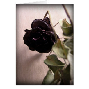 Gothic Dead Rose
