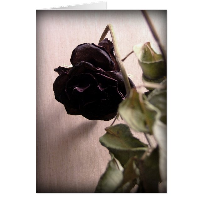 Gothic Dead Rose (Front)
