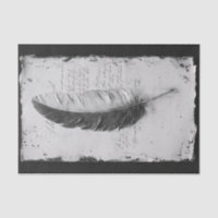 Gothic Feather in a study of black and white