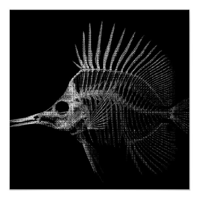 Gothic Fish Skeleton X-Ray Poster (Front)