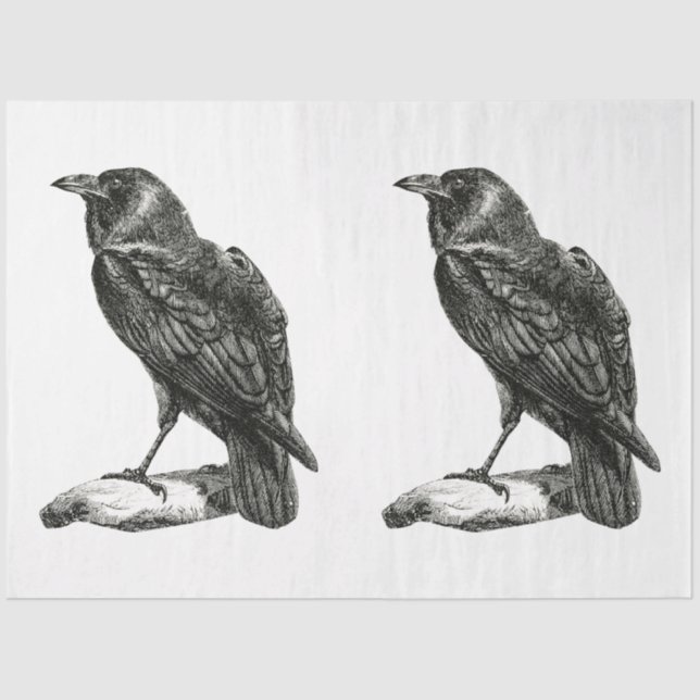 Gothic Love Series Design 21 Tissue Paper (Front)