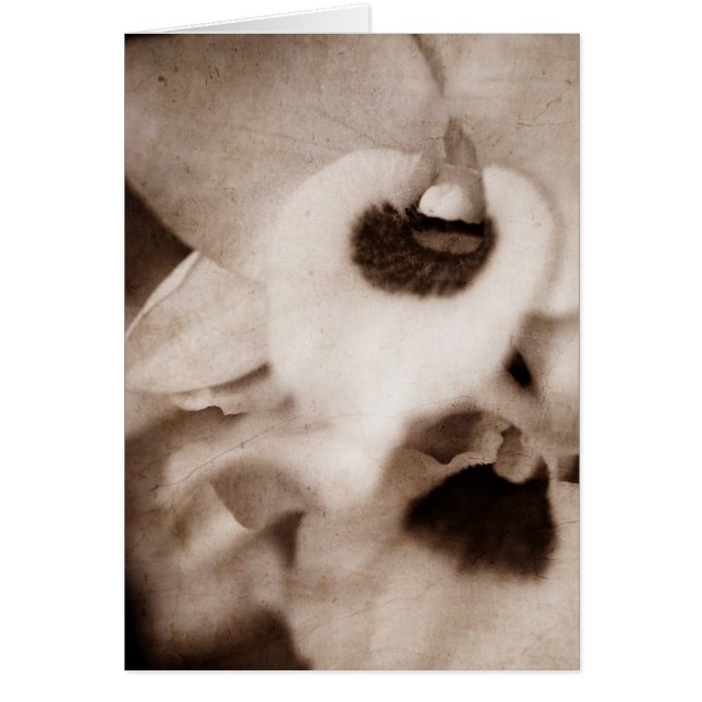 Gothic orchid - Card (Front)