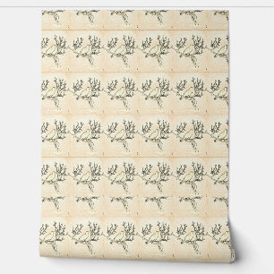 Gothic Poe By Day  Wallpaper